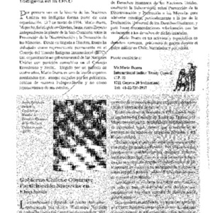 Indigena en la ONU