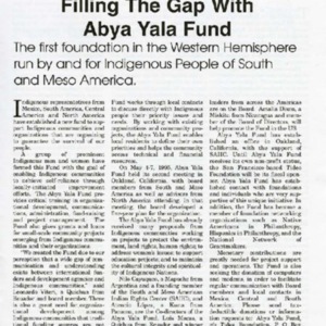 Filling_The_Gap_With_Abya_Yala_Fund.pdf