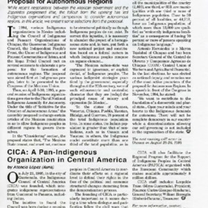 CICA_A_Pan-Indigenous_Organization_in_Central_America.pdf