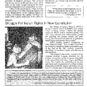Struggle For Indian Rights In New Constitution (Brazil)