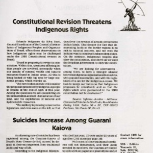 Constitutional Revision Threatens Indigenous Rights.pdf