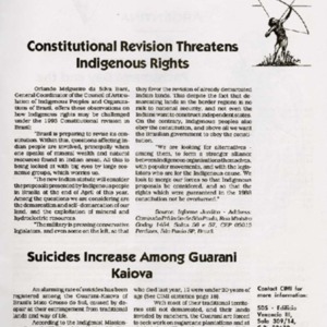 Suicides Increase Among Guarani Kaiova.pdf