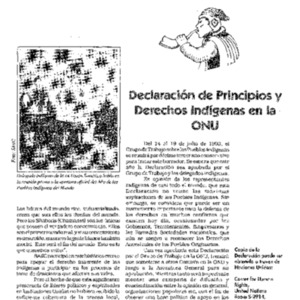 Declaracion de Principios y Derechos Indigenas en la ONU
