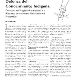 Defensa del Conocimiento Indigena: Derechos de Propiedad Intelectual y la Busqueda de un Nuevo Mecanismo de Proteccion